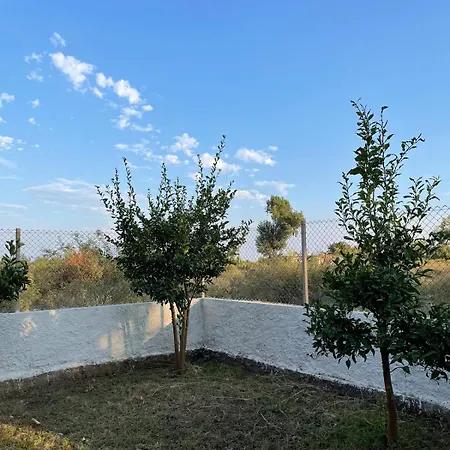 Te Shpia * Baks-Rrjoll