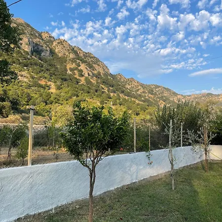 Dom wakacyjny Te Shpia